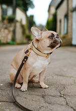 Load image into Gallery viewer, Genuine Leather Dog Collar: Dover Collar