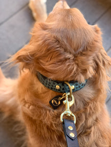 Genuine Leather Dog Collar: Saint -Yves Collar