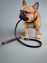 Load image into Gallery viewer, Genuine Leather Dog Collar: Dooley Collar