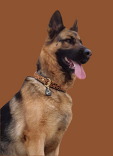 Load image into Gallery viewer, Genuine Leather Dog Collar: Diana Collar