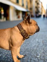 Load image into Gallery viewer, Genuine Leather Dog Collar: Monroe Collar