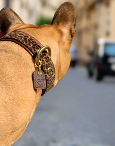 Genuine Leather Dog Collar: Monroe Collar