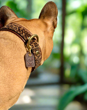 Load image into Gallery viewer, Genuine Leather Dog Collar: Monroe Collar