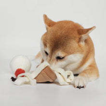 Load image into Gallery viewer, A Winning Pup Pleaser Ice Cream Pop Bouncy + Snuffle Play Object