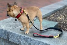 Load image into Gallery viewer, Genuine Leather Dog Collar: Athens Collar