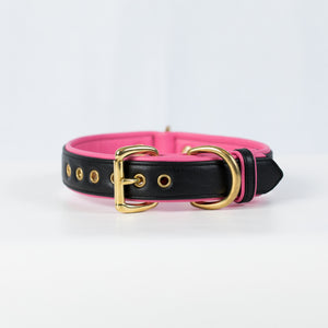 Genuine Leather Dog Collar: Catalina Collar