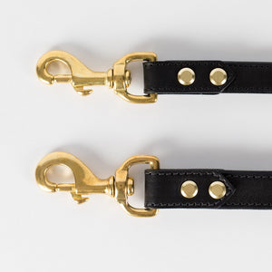 Leather Dog Lead