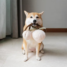 Load image into Gallery viewer, Momo 桃 (Peaches in Japanese) Dog Play Object