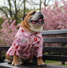 Load image into Gallery viewer, Dog Shirt &quot;Brunch Date&quot; For All Breeds &amp; Sizes