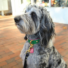 Load image into Gallery viewer, Bestseller// Genuine Leather Dog Collar: Pip Collar  Equestrian Green &amp; Hot Pink Dog Collar