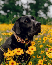 Load image into Gallery viewer, Genuine Leather Dog Collar: Monroe Collar