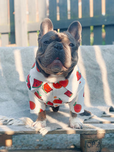 It’s Back! Customer FAV! Dog Shirt "Tutti Frutti" For All Breeds & Sizes