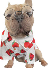 Load image into Gallery viewer, It’s Back! Customer FAV! Dog Shirt &quot;Tutti Frutti&quot; For All Breeds &amp; Sizes