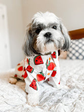 Load image into Gallery viewer, It’s Back! Customer FAV! Dog Shirt &quot;Tutti Frutti&quot; For All Breeds &amp; Sizes