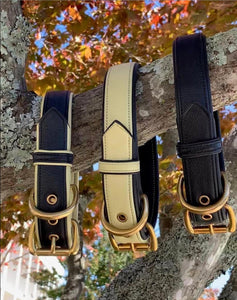 Genuine Leather Dog Collar: Regents Collar