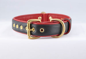 Genuine Leather Dog Collar: Dooley Collar