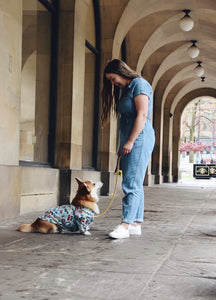 Dog Shirt “Muick & Sandy” For All Breeds & Sizes