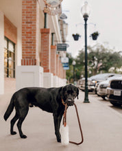 Load image into Gallery viewer, Genuine Shearling, Leather, &amp; Nylon Rope Leash For Dogs: St. Moritz Leash